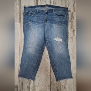 Torrid Crop Boyfriend Blue Distressed Women's Jeans 26